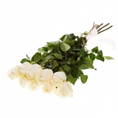 Букет из одиннадцати белых роз с лентой