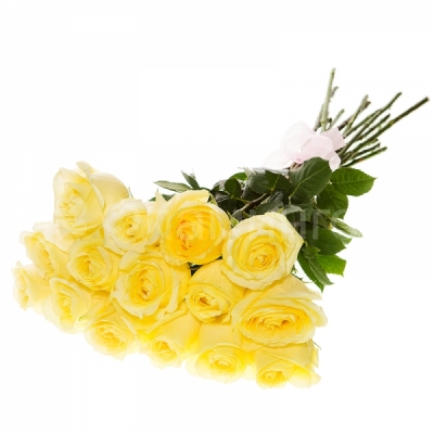 Букет из 25 желтых роз с лентой