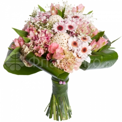 Букет из розовых гвоздик, альстромерий и хризантем, оформленный зеленью