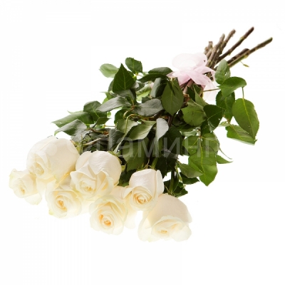 Букет из семи белых роз
